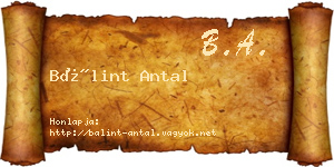 Bálint Antal névjegykártya